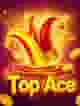 Top Ace