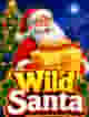 Wild Santa